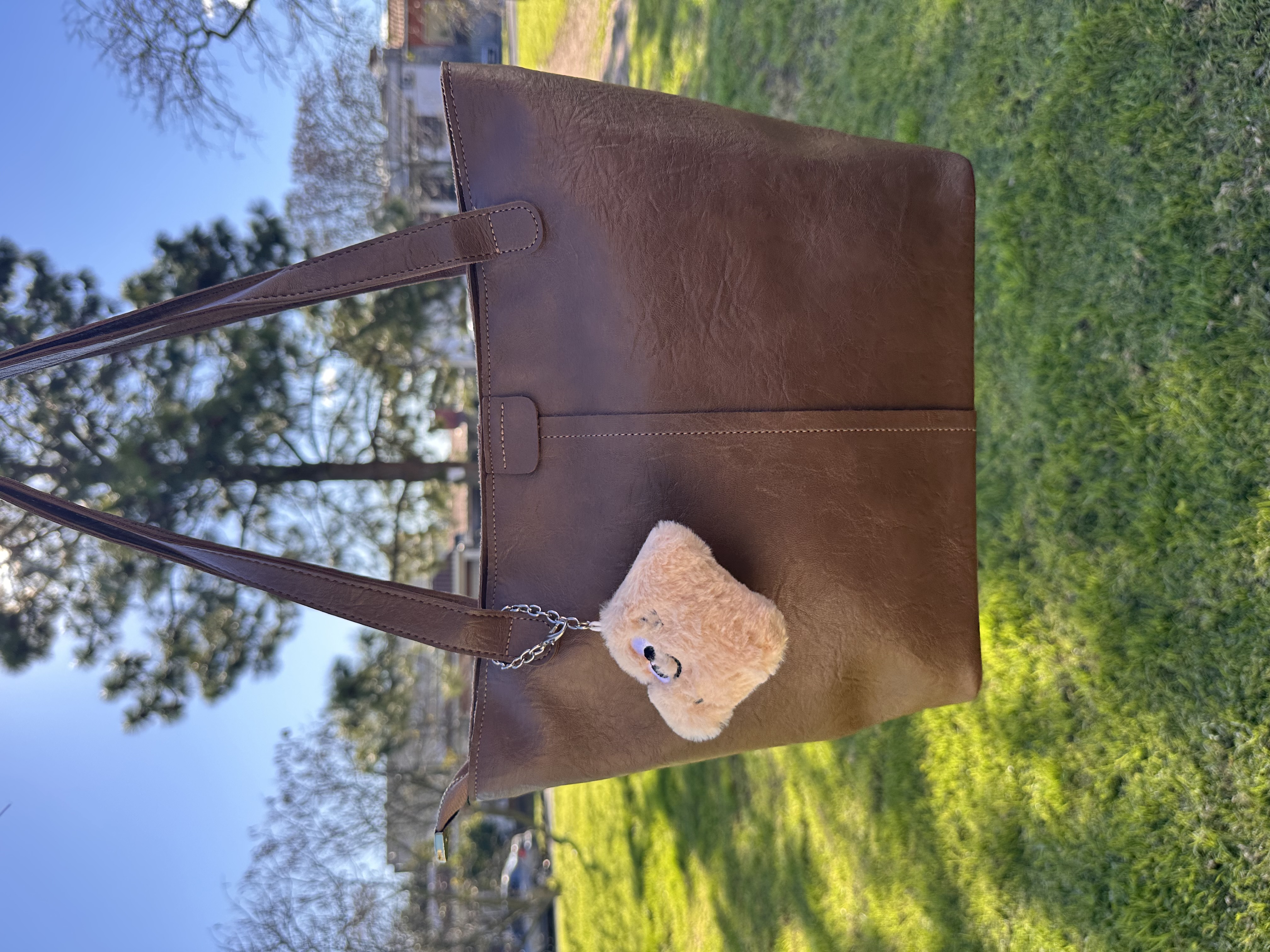 Cartera Marrón