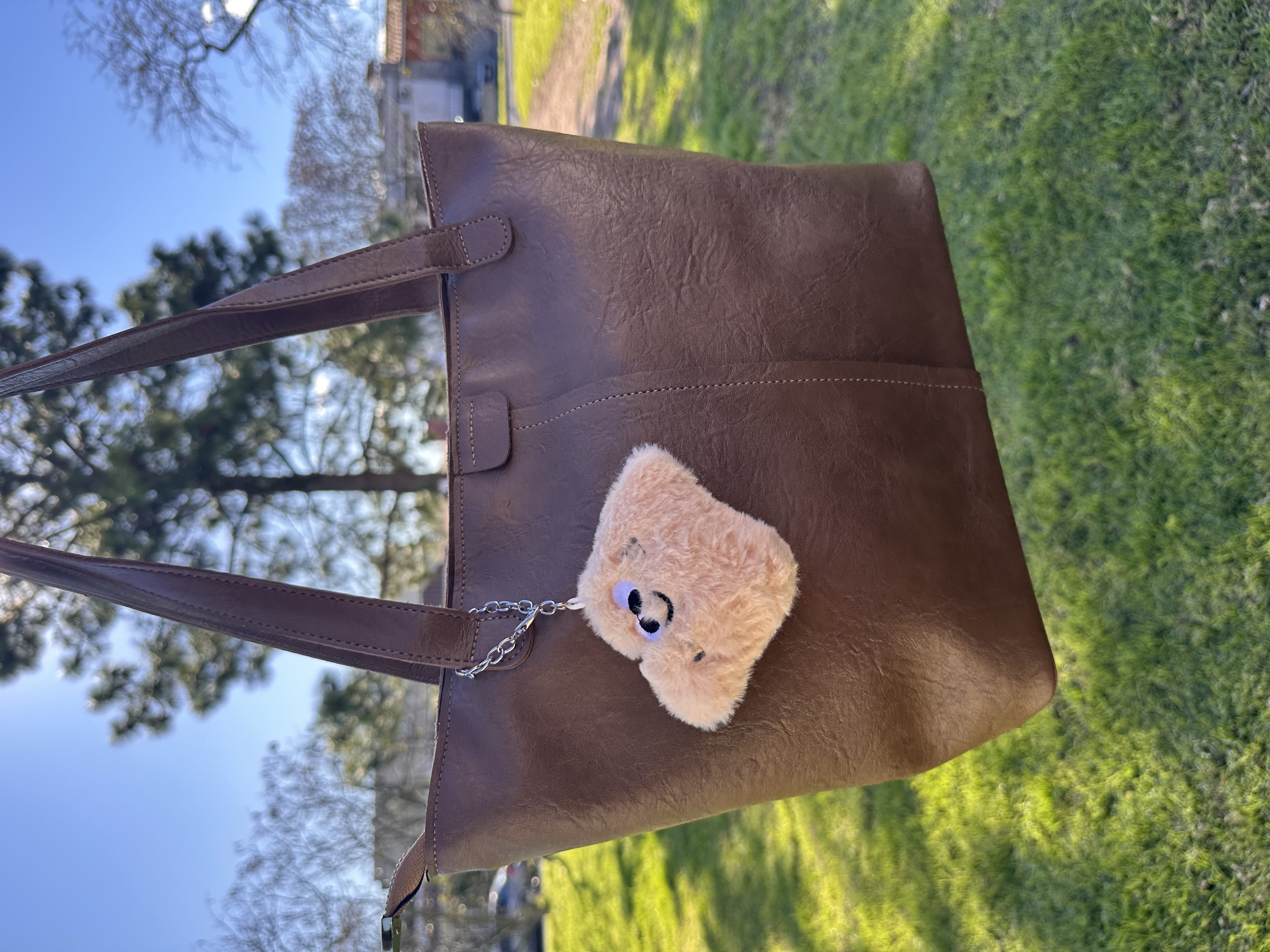 Cartera Marrón